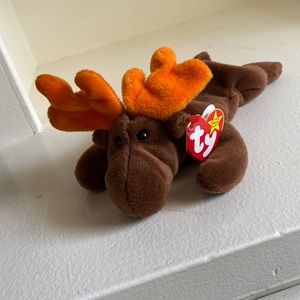 Ty Beanie Baby: Chocolate the Moose | Stuffed Animal | MWMT